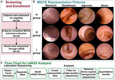 Rewiring of Microbiota Networks in Erosive Inflammation of the Stomach and Small Bowel